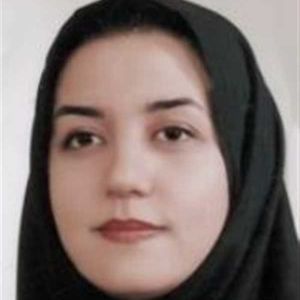 مینا حسینی
