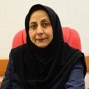 مینو نایبی