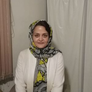 میترا پورصیرفی