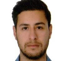 معین محمدی