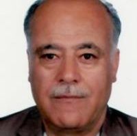 محمد احمدی