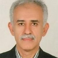 محمد حسن شلویری