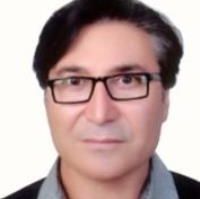 محمدحسین قاسمی پور