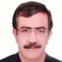 محمدحسین ترابی نژادکرمانی