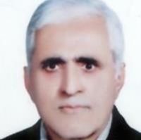 محمد رفیق