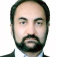 محمدرضا مزیدی شرف آبادی