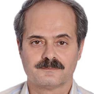 محمدرضا علاوی طوسی
