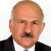 محمد احمدی لاری