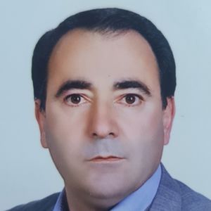 محمدعلی محمدی آغجه قلعه