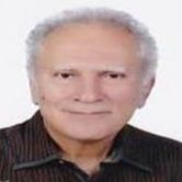 محمد بهرامی