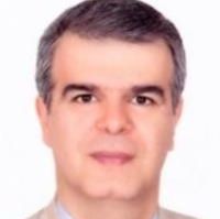 محمد دانشورهشجین