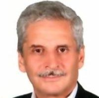 محمد اسلامی وقار