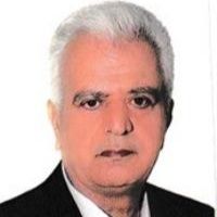 محمدحسن اسلامی مهرجردی