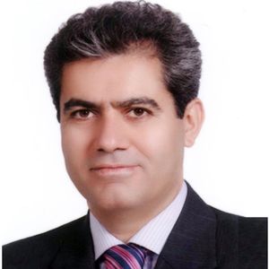 محمدحسن هوشمندی