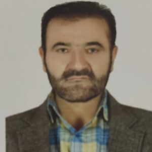 محمدحسن ساعدی
