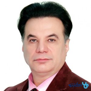 محمدحسین حبی