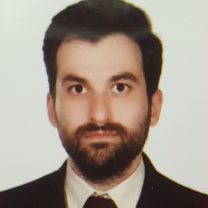 محمدحسین عربی خلیل آباد