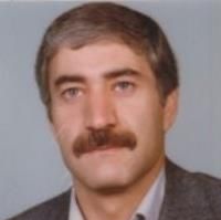 محمدحسین دالایی