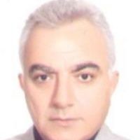 محمدحسین گرجی