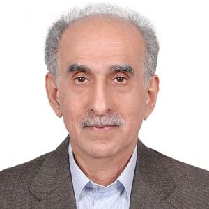 محمدجواد محمدی
