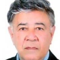 محمد‍ خلقی