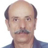 محمد مردانی