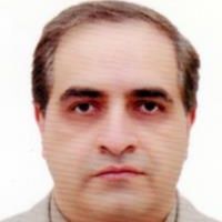 محمدمهدی امام