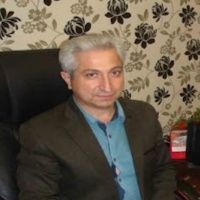 محمد ربیعی
