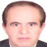 محمد رحیمیان