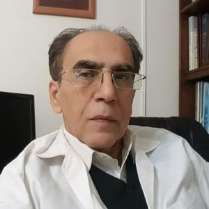محمدرضا اسدی