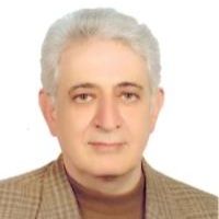 محمدرضا ذبیحی مرنی