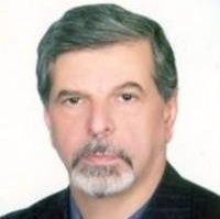 محمدرضا زالی