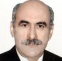 محمد سلطانی