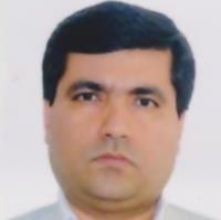 محمد طلای مینائی