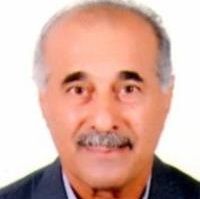 محمدعلی طالشی