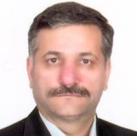 محمد عارفی