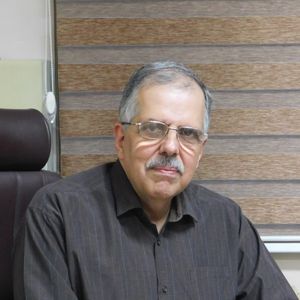 محمدحسین چلبی