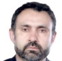 محمدحسین تازیکی بالا جلینی