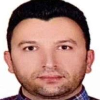 محمدپارسا ویسی