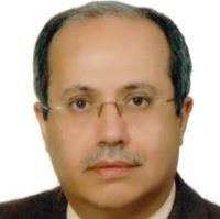 محمدرضا میعاد
