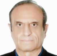 محمدرضا میناگر