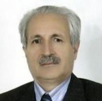 محمدرضا میر
