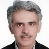محمدرضا مرتضوی