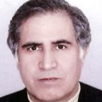 محمدرضا شاهرخی