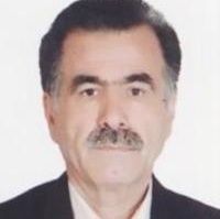 محمدتقی مهراب پور