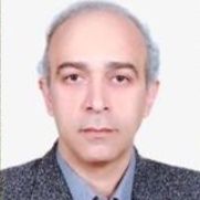 محسن برزگرمروستی