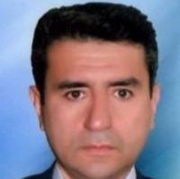 محسن دوامی