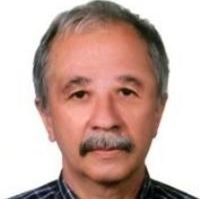 محسن فرج الهی