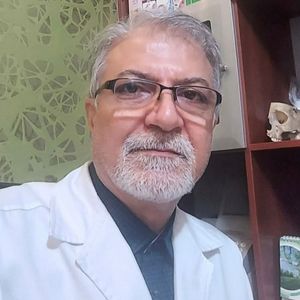 محسن حسین پور
