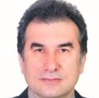 محسن خلیل نژادامیری